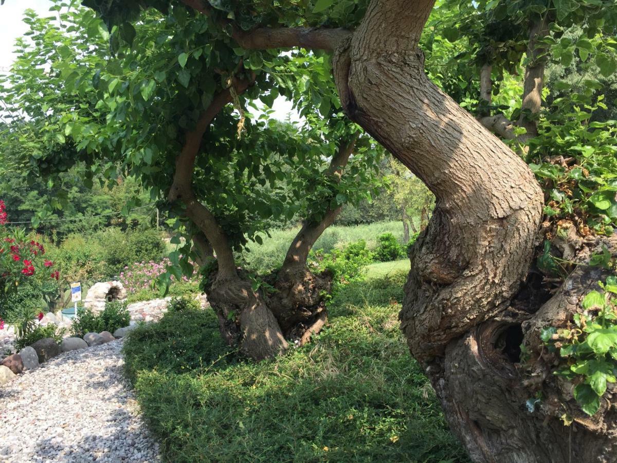 Casal Del Pigno Hotell Peschiera del Garda Eksteriør bilde